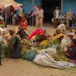 Etiopia (1)