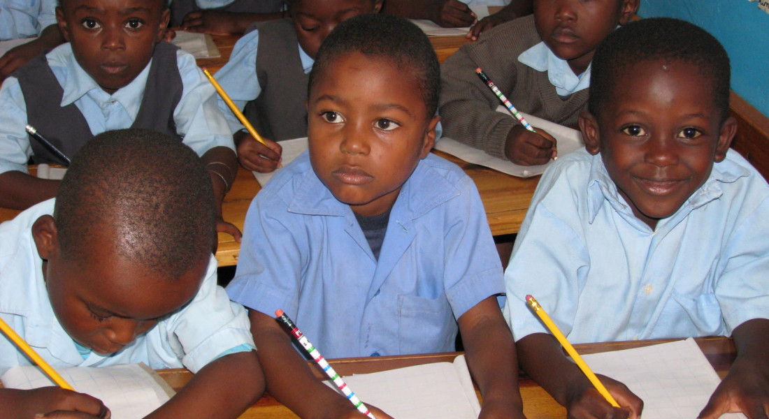 Projekt budowy szko?y