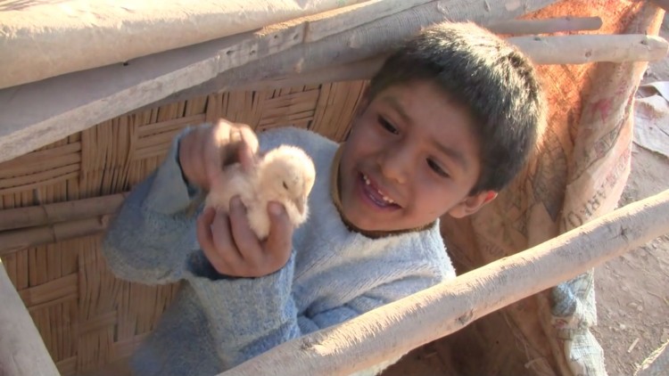 Ziemia błogosławiona