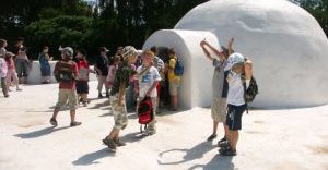 Warsztaty Rodzinne z Misyjkiem – Arktyczna Przygoda!